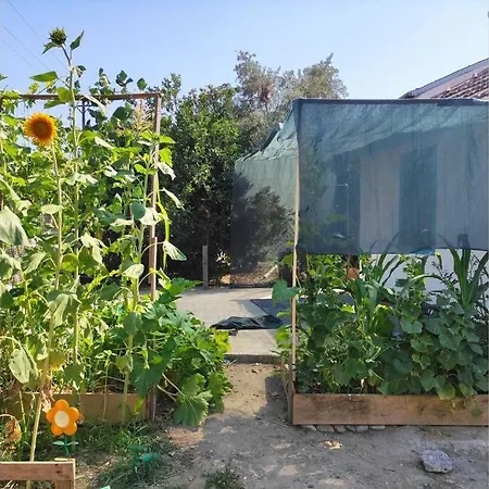 Sarigerme'Ye Yakin Koey Evi + Wifi