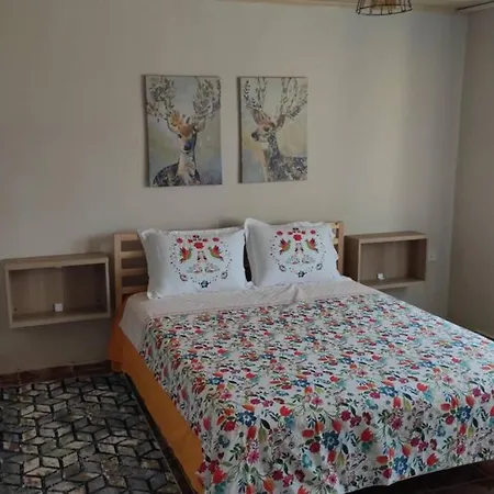 Sarigerme'Ye Yakin Koey Evi + Wifi Apartament Ortaca (Mugla)