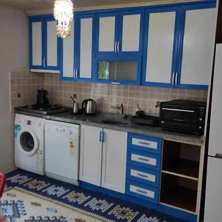 Sarigerme'Ye Yakin Koey Evi + Wifi * Ortaca (Mugla)